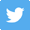 Twitter icon image